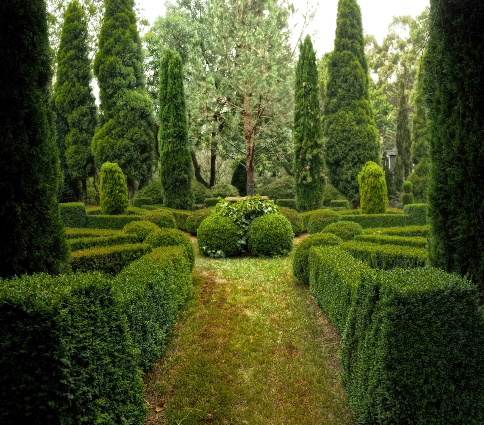 Garden maintenance work with trimmed hedging and tidy planting beds.